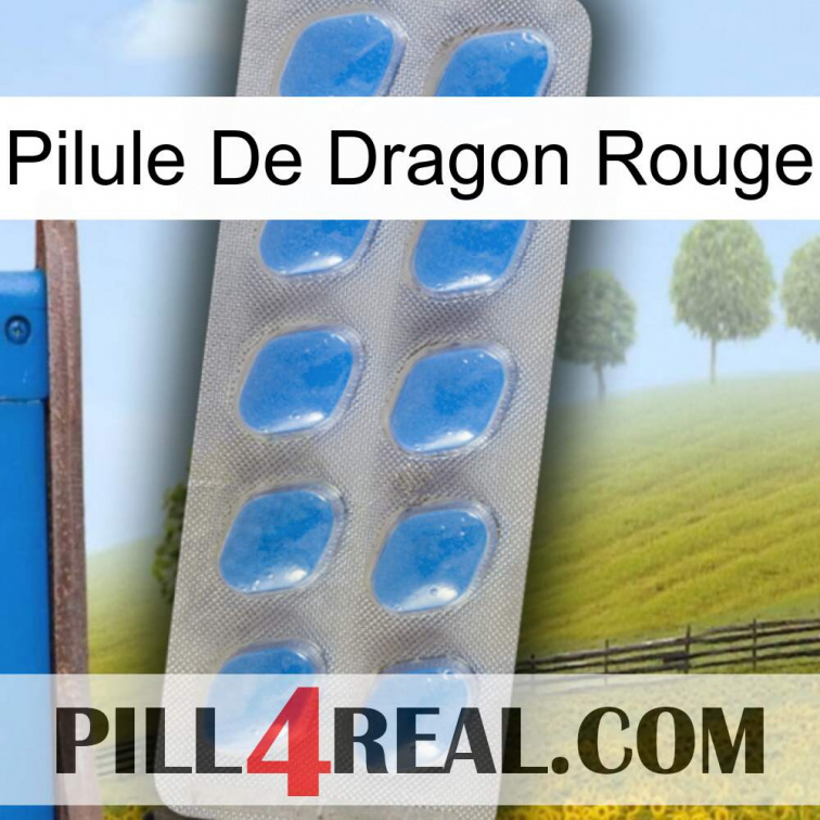 Red Dragon Pill 22